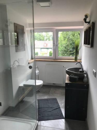 a bathroom with a shower and a sink and a toilet at Ferienwohnung im Berghüttenstyle in Bad Wörishofen