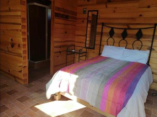 1 dormitorio con 1 cama con una manta colorida en Posada El Roble. en Ciudad de México
