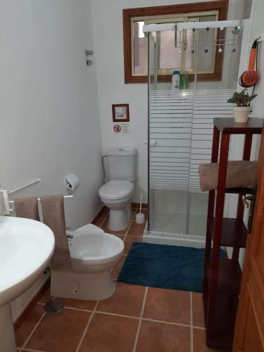 a bathroom with a toilet and a sink and a shower at El Rincon de Nina in La Laguna