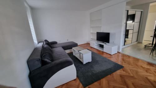 uma sala de estar com um sofá e uma televisão em Apartmani Vuksanović em Brestovac