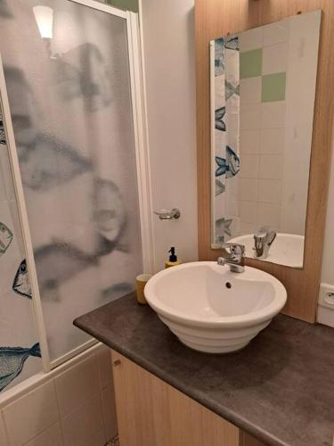 une salle de bain avec un lavabo et une douche dans l'établissement Charmant appartement dans résidence neuve - 5 places, à Nérac