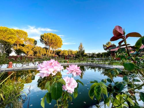 a pond with pink flowers in a park at Quinta do Cutato - Piscina Guest House in Santo Estêvão