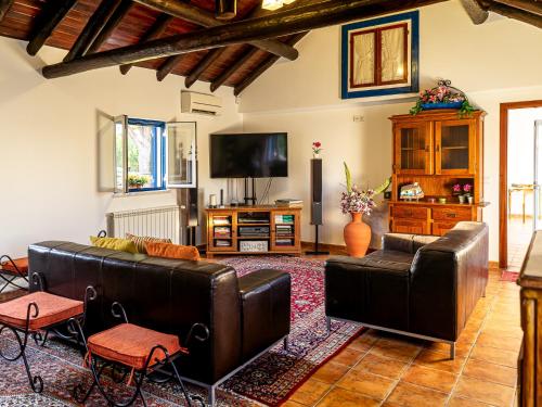 a living room with leather furniture and a flat screen tv at Quinta do Cutato - Piscina Guest House in Santo Estêvão