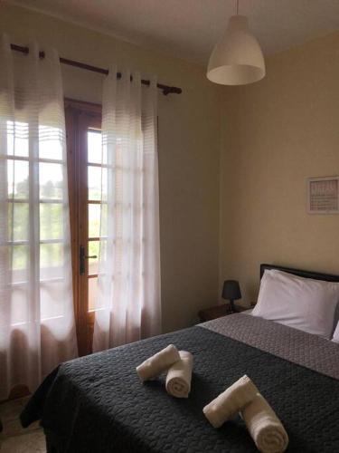 Φωτογραφία από το άλμπουμ του Beach house project σε Παραλία Αβδήρων