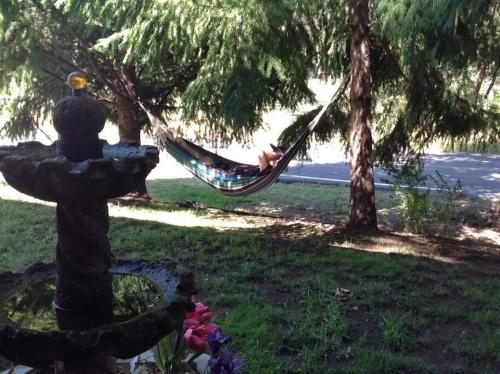 a person sleeping in a hammock in a park at Fairway Apartments Unit 1 in Twain Harte