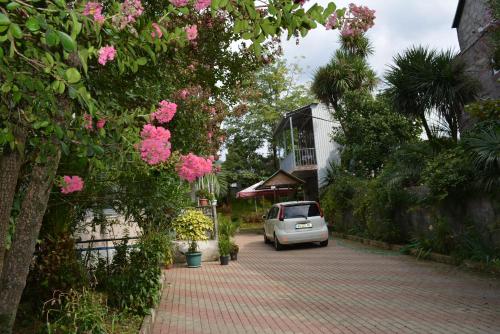 Zahrada ubytování Giga Guest House