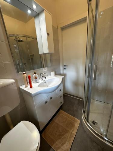 a bathroom with a toilet and a sink and a shower at L'Orchidea_Holiday in Camaiore