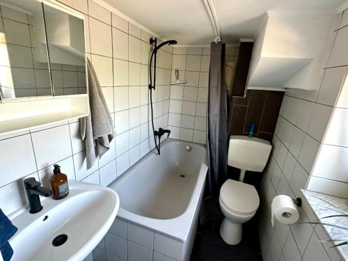 a bathroom with a sink and a toilet and a tub at GreenRhein Lounge in Alpen