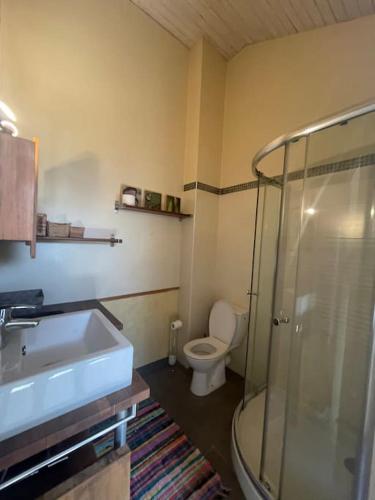 une salle de bain avec une douche, un lavabo et des toilettes dans l'établissement Séjour idyllique, à Annecy