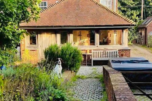 a dog standing in front of a house at Nature Charm & Fruit Delights, multi-generation celebratory home -Try, Relax, Repeat - Sellindge in Ashford