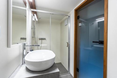 Jimramov的住宿－Just Jimramov，浴室配有白色水槽和玻璃淋浴间。