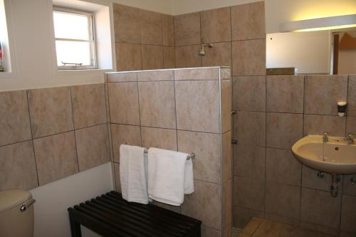 y baño con lavabo y ducha con toallas. en Namib Naukluft Lodge en Solitaire