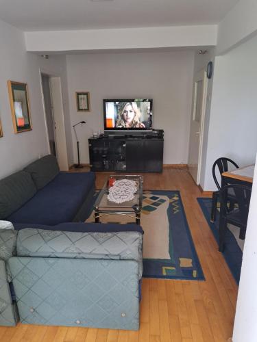 een woonkamer met een bank en een tv bij A&A Apartment in Skopje