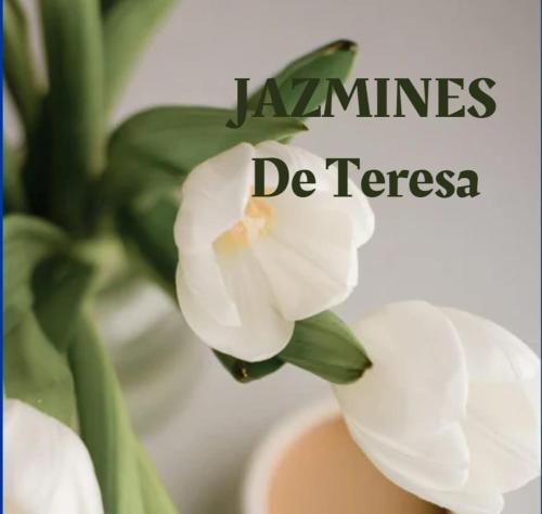 Jazmines de Teresa – Photos 3