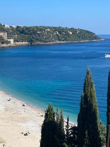 a view of a beach with trees in the foreground at Cap d.Azur in Roquebrune-Cap-Martin