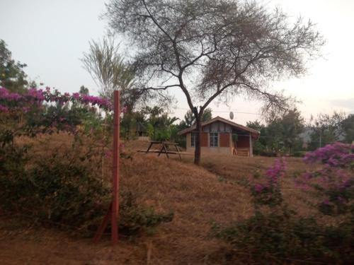 ein Haus inmitten eines Feldes mit Blumen in der Unterkunft Munyana homestay in Akagera