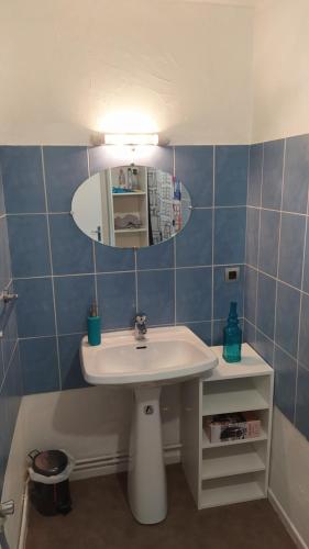 La salle de bains est pourvue d'un lavabo et d'un miroir. dans l'établissement Appartement FX 3, à Saint-Dié-des-Vosges