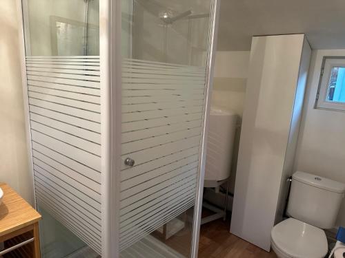 eine Duschkabine im Bad mit WC in der Unterkunft Studio indépendant jardin avec piscine privatisée in Brétigny-sur-Orge