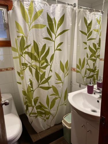 a bathroom with a shower curtain with a toilet and a sink at Ruka Peumayen Caburgua in Caburgua