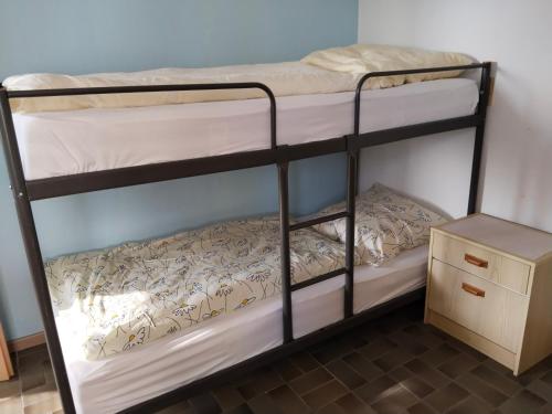 a couple of bunk beds in a room at Ferien-u. Monteurwohnung ganze Unterkunft in Schieder- Schwalenberg in Schieder-Schwalenberg