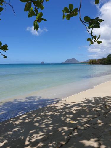 a view of a beach with the ocean at Ste Luce, N° 11 Appart -300m Plage de Mabouyas in Corps de Garde