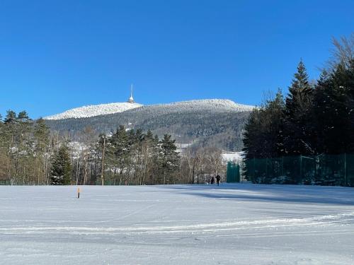 a large snow covered field with a mountain in the background at Exkluzivní chalupa Podještědka s grilem a saunou in Světlá pod Ještědem