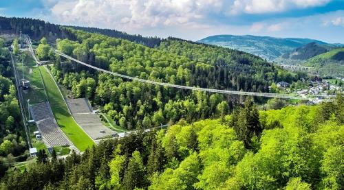 arial view of a suspension bridge in a forest at Appartement Gänseblümchen in Willingen