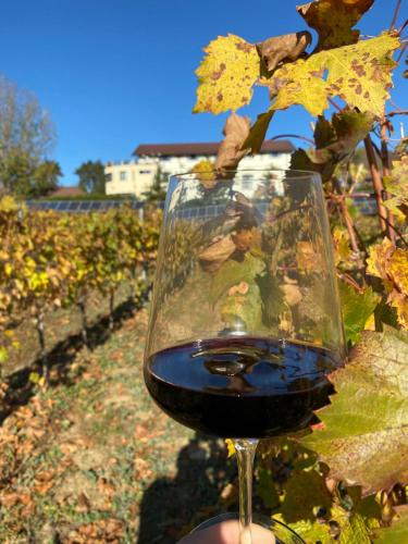 ein Glas Rotwein vor einem Weinberg in der Unterkunft Casa Colinelor in Urlaţi