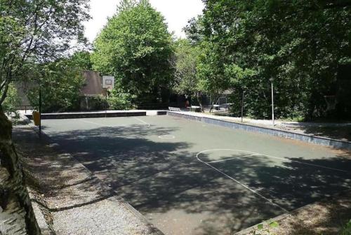 an empty basketball court in a yard with trees at Chalet Séquoia 138 Nature, piscine et chien bienvenu à Durbuy in Durbuy