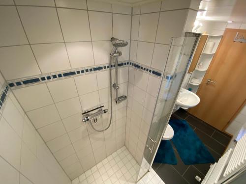 y baño con ducha y lavamanos. en Erichshagener Ferienlaube en Erichshagen