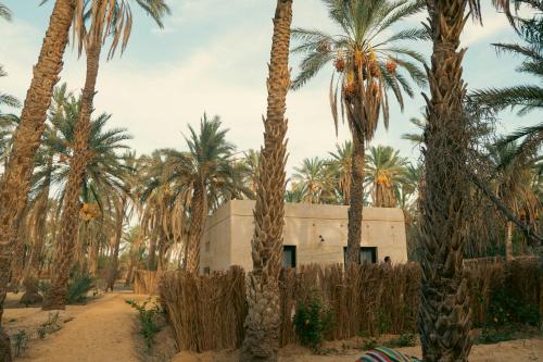 un bâtiment avec des palmiers en face de celui-ci dans l'établissement Villa Taouzert, à Tozeur