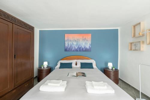 una camera da letto con un grande letto bianco e pareti blu di ELEGANT HOME - Panorama del Gran Paradiso con Giardino ad Alpette