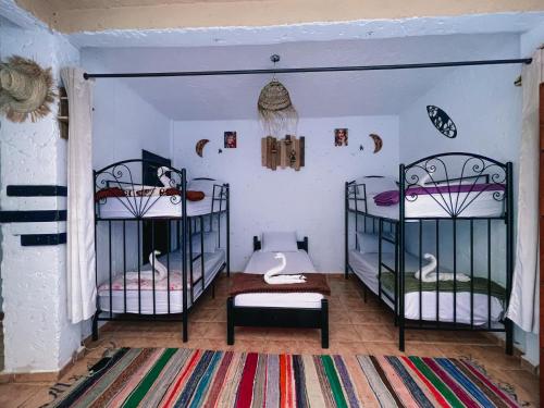 a room with two bunk beds and a rug at Sunrise Hostel Taghazout in Taghazout