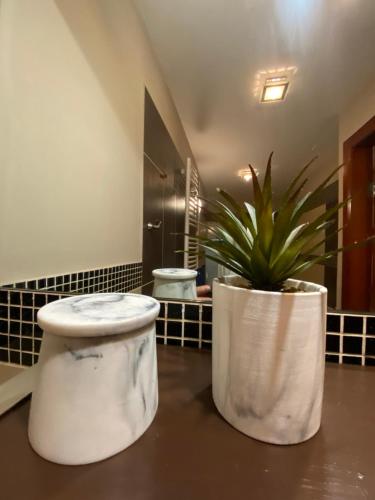 een badkamer met een potplant op een aanrecht bij Best Location in the Heart of the City, 2 bedrooms, 2 bathrooms in Boedapest
