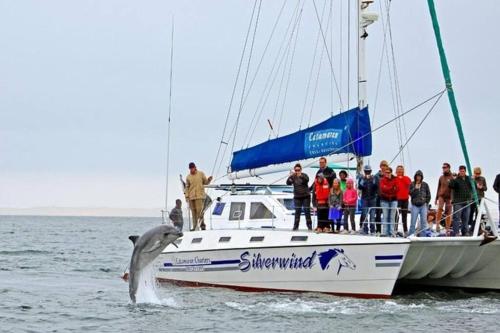 a dolphin jumping out of the water in front of a boat at Palm Self Catering - House in Walvis Bay in Walvis Bay