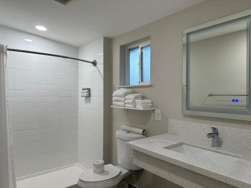 La salle de bains est pourvue de toilettes, d'un lavabo et d'une douche. dans l'établissement Bluebird Inn, à Cambria