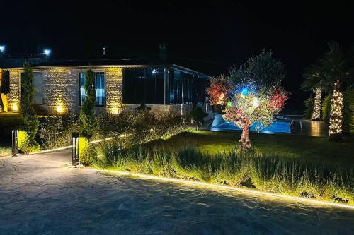 une maison avec un arbre dans la cour la nuit dans l'établissement Black Swan Villas Kadıllı, à Gebze