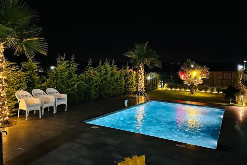 - une piscine dans un jardin la nuit dans l'établissement Black Swan Villas Kadıllı, à Gebze