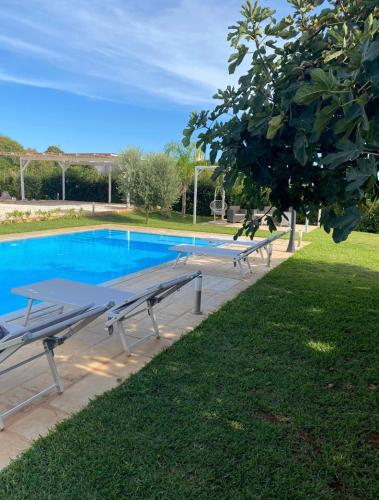 a swimming pool with two benches in a park at L’Incanto in Corsano