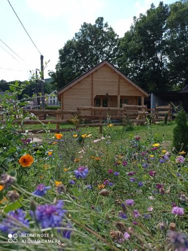un champ de fleurs devant un bâtiment en bois dans l'établissement Chalet des fontaines claires, à Aydat