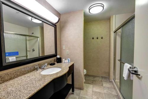a bathroom with a sink and a mirror and a shower at Hampton Inn & Suites Chadds Ford in Glen Mills