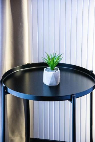 シャバツにあるKristall Apartments Premiumのギャラリーの写真