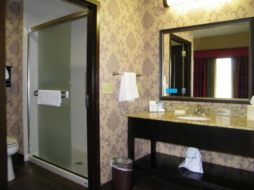 a bathroom with a sink and a mirror at Hampton Inn and Suites Hope in Hope