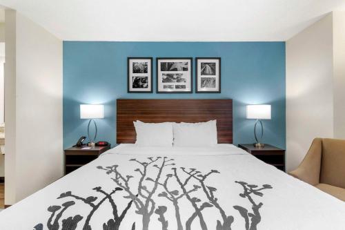 a bed in a hotel room with a blue wall at Sleep Inn Mt Pleasant - Charleston in Charleston