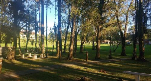 un parque con bancos y árboles en el césped en Samuel santos, en Araucária