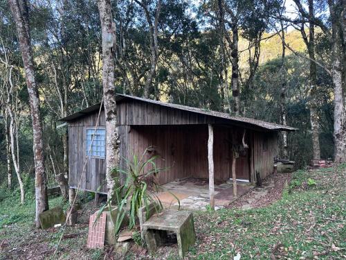 uma pequena cabana de madeira no meio de uma floresta em Samuel santos em Araucária