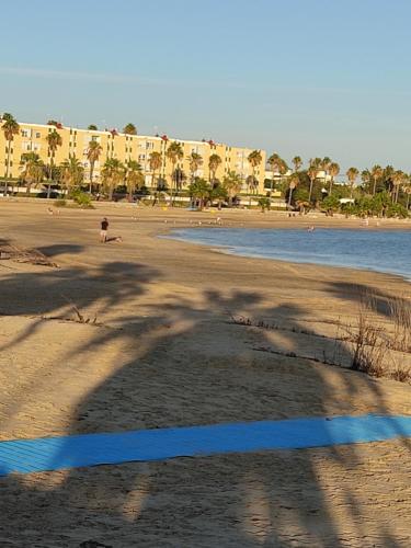 a shadow of a palm tree on a beach at Casa Las Vidrieras in Puerto Real