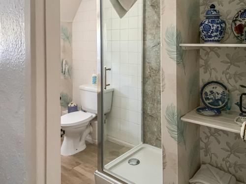 a bathroom with a toilet and a shower at Granary Cottage in Torquay