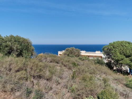 Appartement avec Terrasse, WIFI, Parking Privé, à 2min de la Plage des Elmes - Banyuls-sur-Mer - FR-1-309-130
