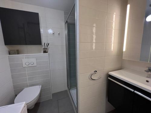 une salle de bain avec une douche, des toilettes et un lavabo dans l'établissement Studio au Centre des Gets, Proche Remontées, Confort Moderne - 4 Couchages - FR-1-623-194, aux Gets